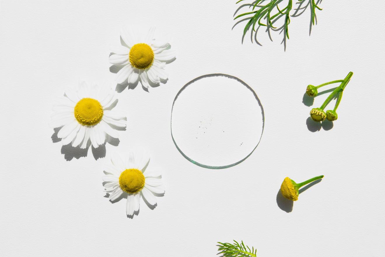 Эфирное масло ромашки