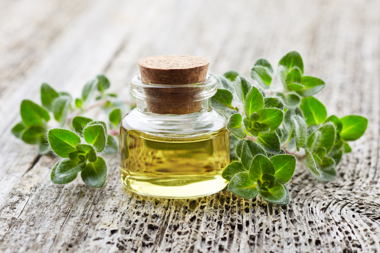 Масло майорана