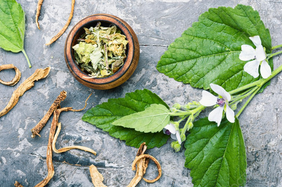 Экстракт алтея